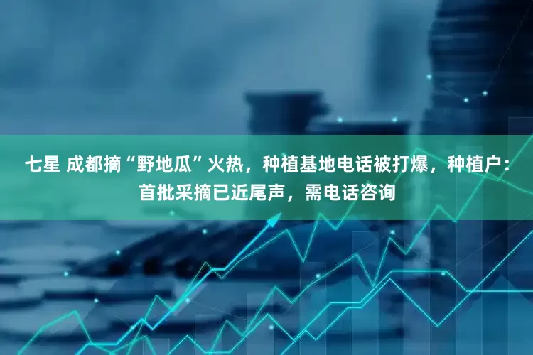 七星 成都摘“野地瓜”火热，种植基地电话被打爆，种植户：首批采摘已近尾声，需电话咨询