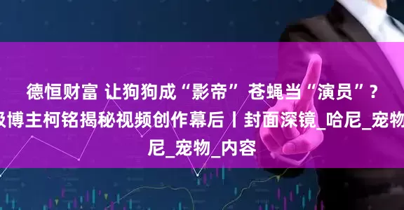 德恒财富 让狗狗成“影帝” 苍蝇当“演员”？千万级博主柯铭揭秘视频创作幕后丨封面深镜_哈尼_宠物_内容