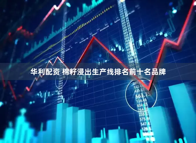 华利配资 棉籽浸出生产线排名前十名品牌